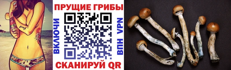 Псилоцибиновые грибы GOLDEN TEACHER  Краснообск 